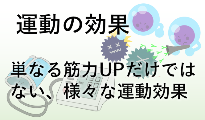 運動の効果