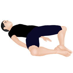 中殿筋ブリッジ