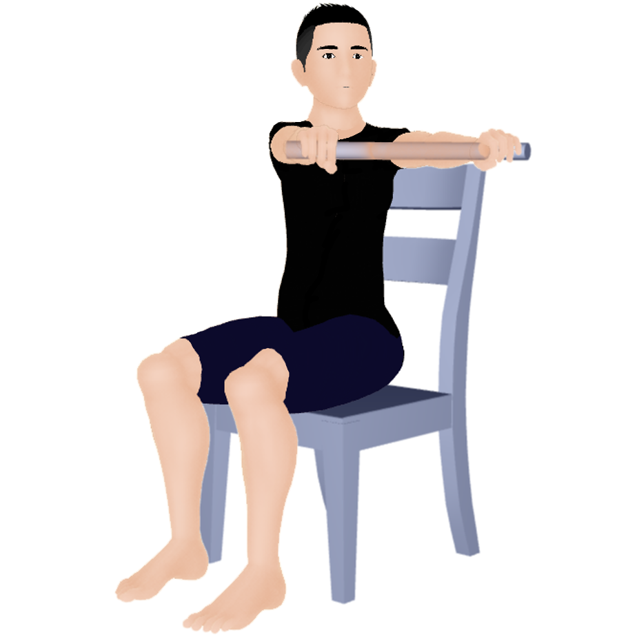 棒体幹回旋