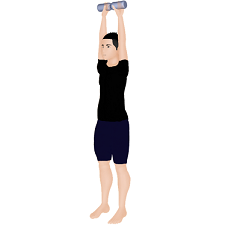 ペットショルダープレス