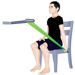 チューブトライセップスエクステンション