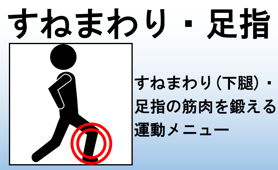下腿・足