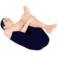 殿筋（梨状筋）