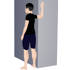 大胸筋（下部）